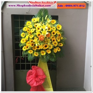 Hoa Tươi Tặng Khai Trương - OK97